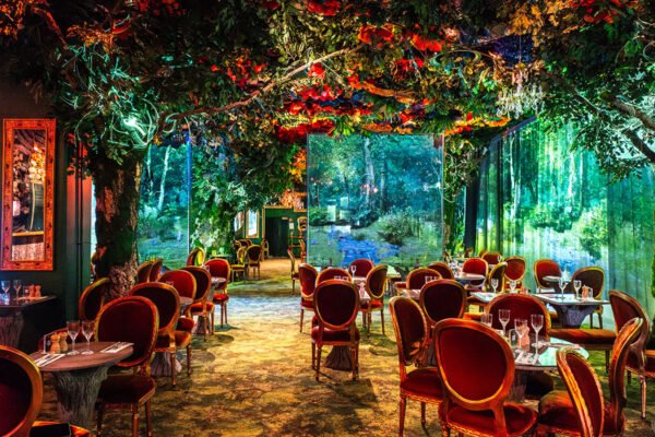 ephemera restaurant wonderwood